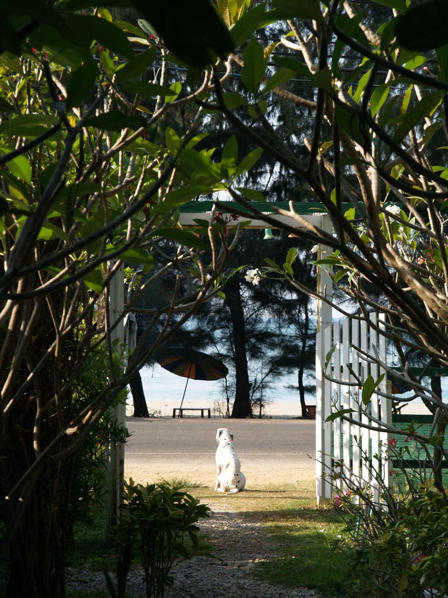 Makmai Villa - Rayong Buitenkant foto
